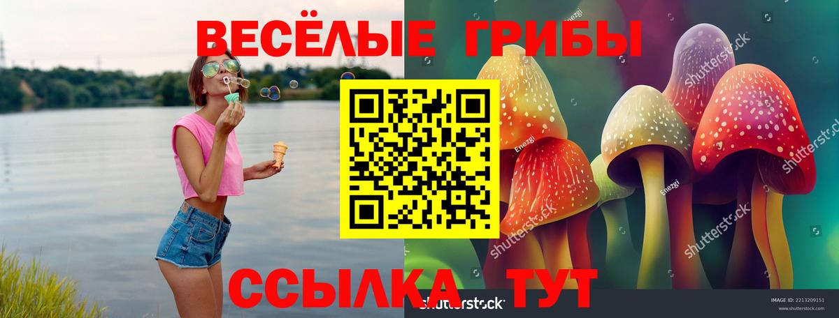 Псилоцибиновые грибы Psilocybe  Галлюциногенные грибы MAGIC MUSHROOMS  Дедовск  Вход с VPN 